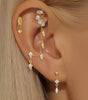 Elegant Ice Crystal Pendant Earrings with Cubic Zirconia – Denise