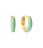 Elegant  Earring Set with 18K Gold Plating – Wynefreed