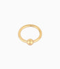 Waterproof Classic Hoop for Ear and Nose Piercings – Whytton