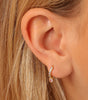 Heart-Shaped Earrings with Cubic Zirconia – Shiveley